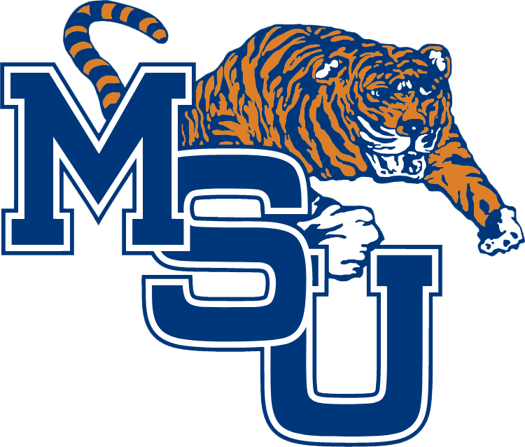 Memphis Tigers 1979-1989 Primary Logo iron on transfers for T-shirts